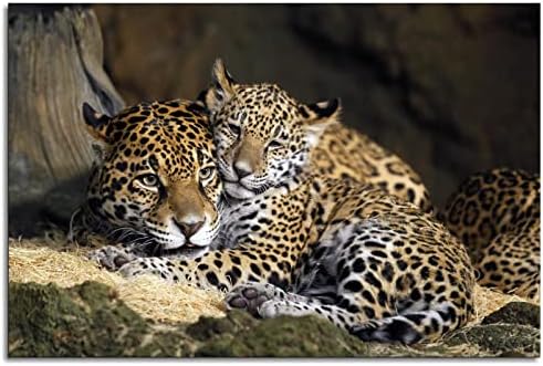 Leopar Hayvan Fotoğraf Posteri-Vahşi Hayvan Jaguar Posteri-Fotoğraf Sanatı Fotoğraf (018) duvar sanatı tuval baskılar