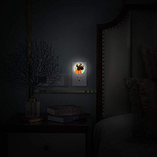 LED Gece Lambası ile Komik Türkiye Oturmak Kabak Gece lamba fişi Duvar Alacakaranlıktan Şafağa Sensörü 2 Paket
