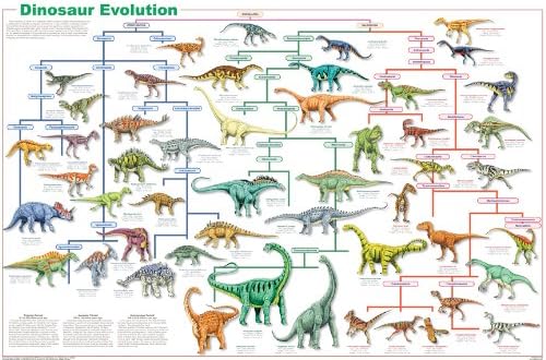 Feenixx Yayıncılık Dinozor Evrimi Posteri 24x36
