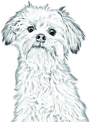 Lowchen, Bir Köpek Görüntüsü olan Seramik Karodan Oval Mezar Taşı