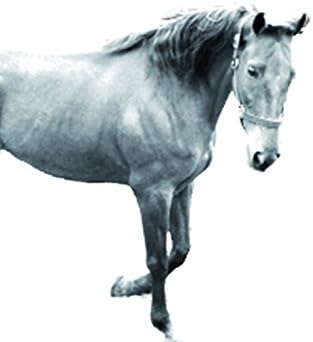 Sanat Köpek Ltd.Şti. Amerikan Saddlebred, Bir At Görüntüsü ile Seramik Karodan Oval Mezar Taşı