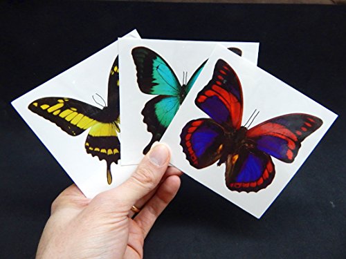 Butterfly Utopia'dan Büyük Kelebek Geçici Dövmeleri (12 Sayfa)