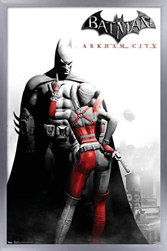 Trendler Uluslararası DC Comics Vİdeo oyunu-Arkham City-Anahtar Sanat Duvar Posteri, 22.375 x 34, siyah Çerçeveli